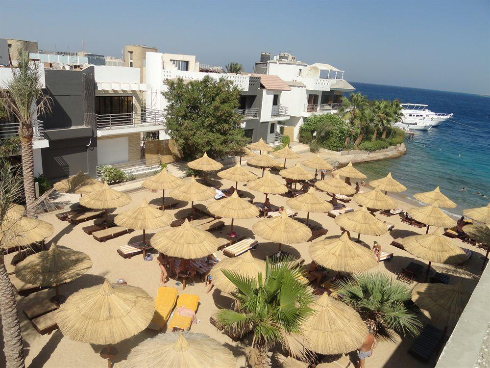 Premium Seagull Beach Resort Hurghada Bagian luar foto